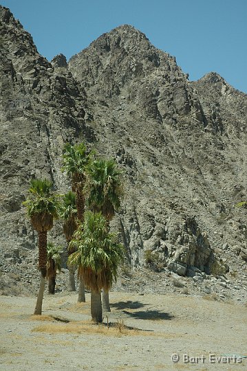DSC_1023.JPG - Desert around Palm Springs